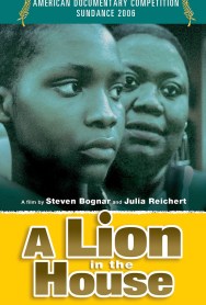 35 Lion in the House